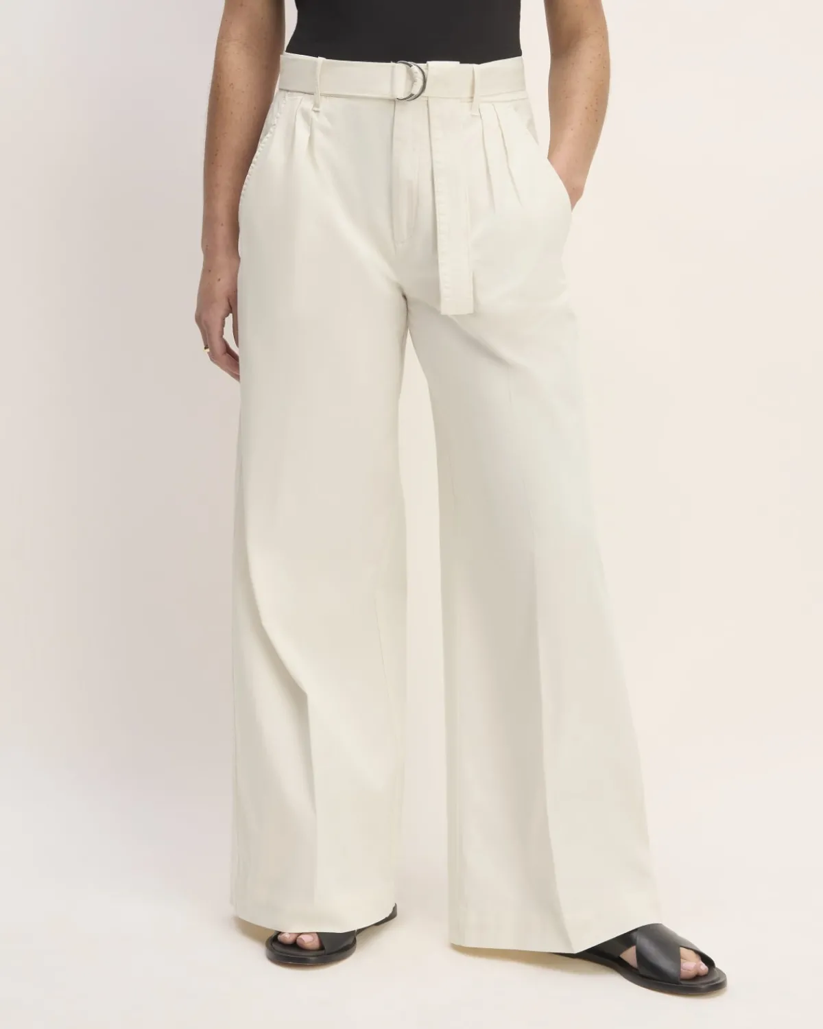 Everlane Pants|Wide-Leg Pants*The Pleated Wide-Leg Chino