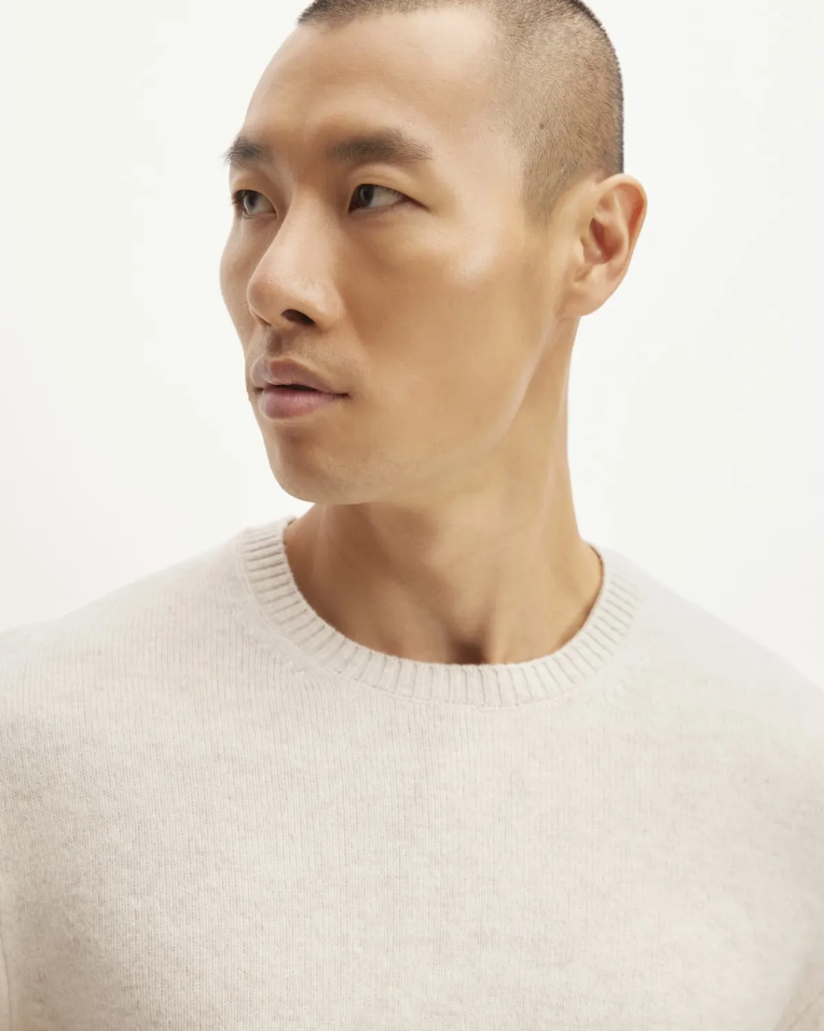 Everlane Sweaters|Crew Sweaters*The Premium Merino Crew Neck Sweater