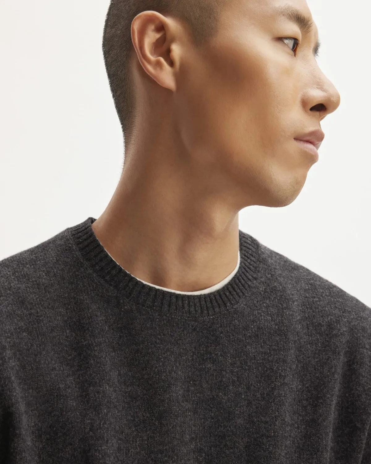 Everlane Sweaters|Crew Sweaters*The Premium Merino Crew Neck Sweater