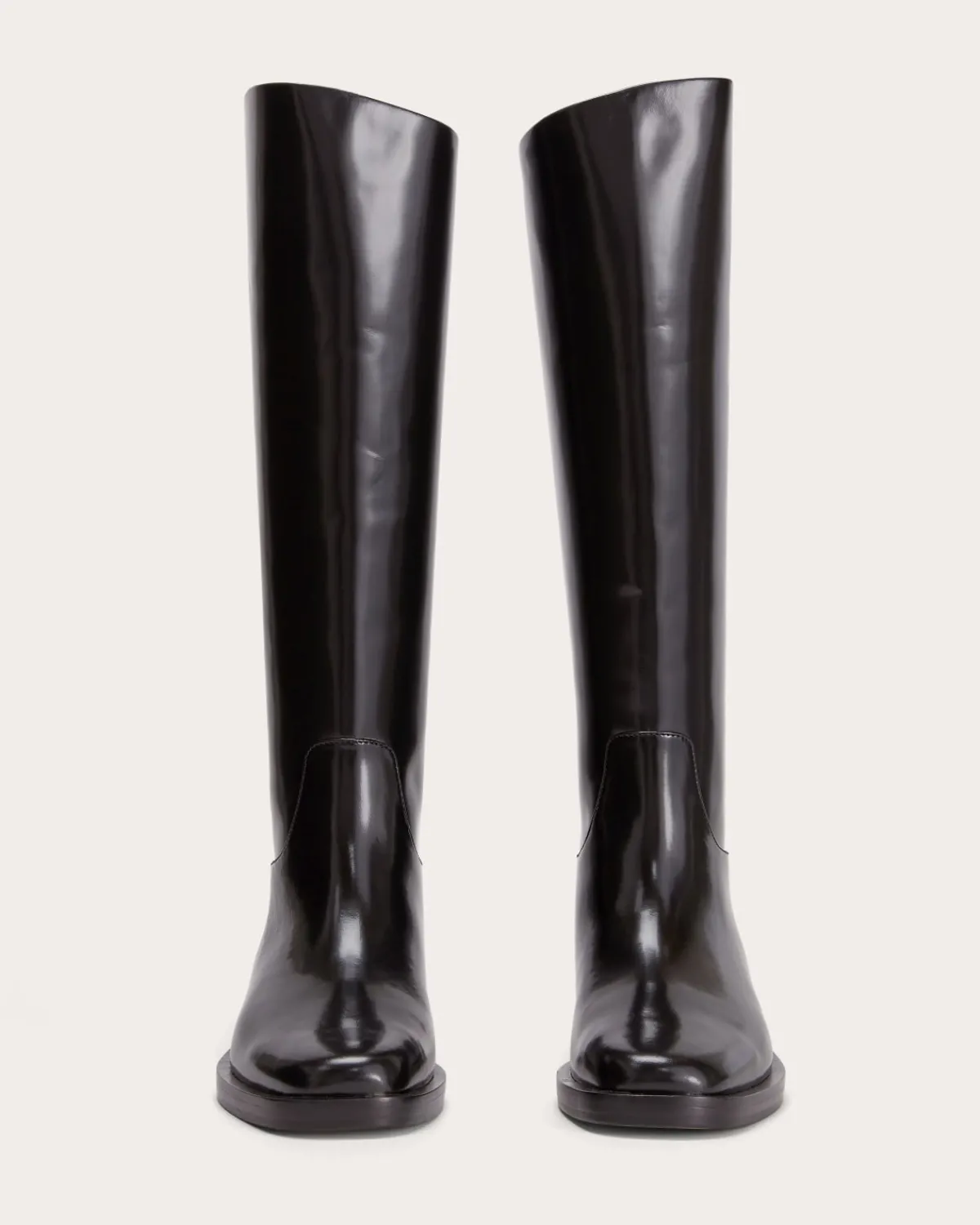 Everlane Shoes|Boots*The Riding Boot