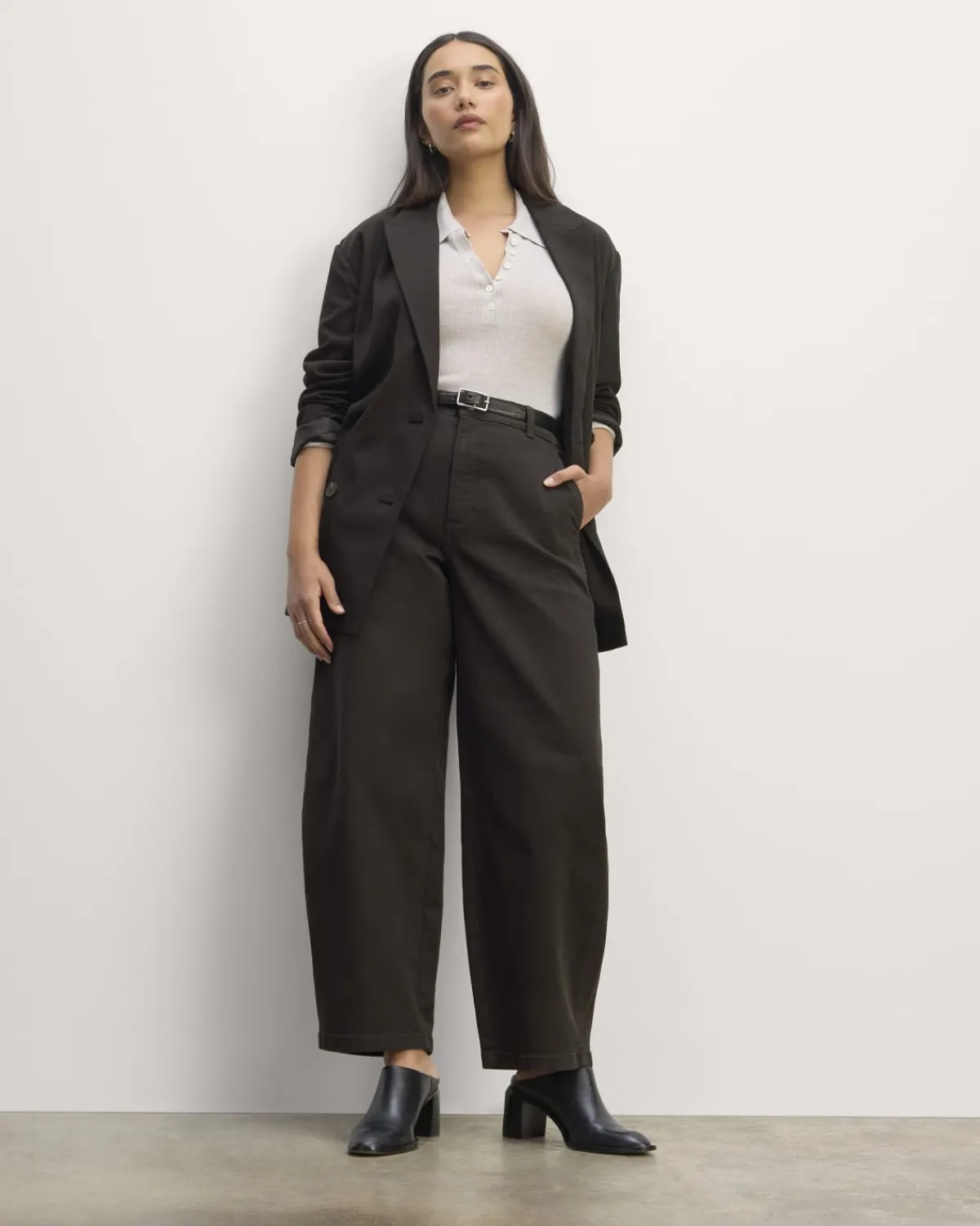 Everlane Pants|Barrel Pants*The Utility Curve Pant