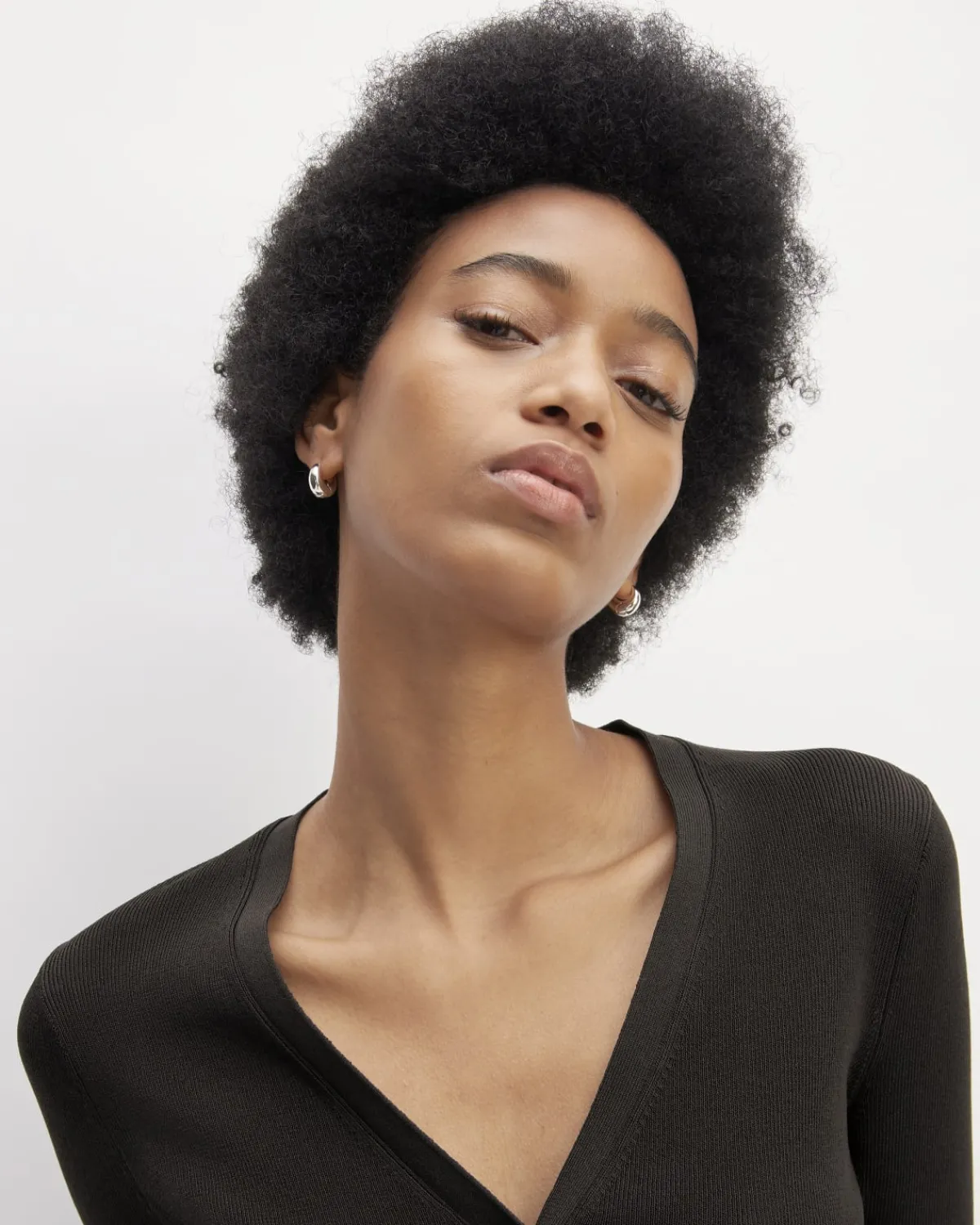 Everlane Sweaters|Crew Sweaters*The Viscose Knit Cardigan